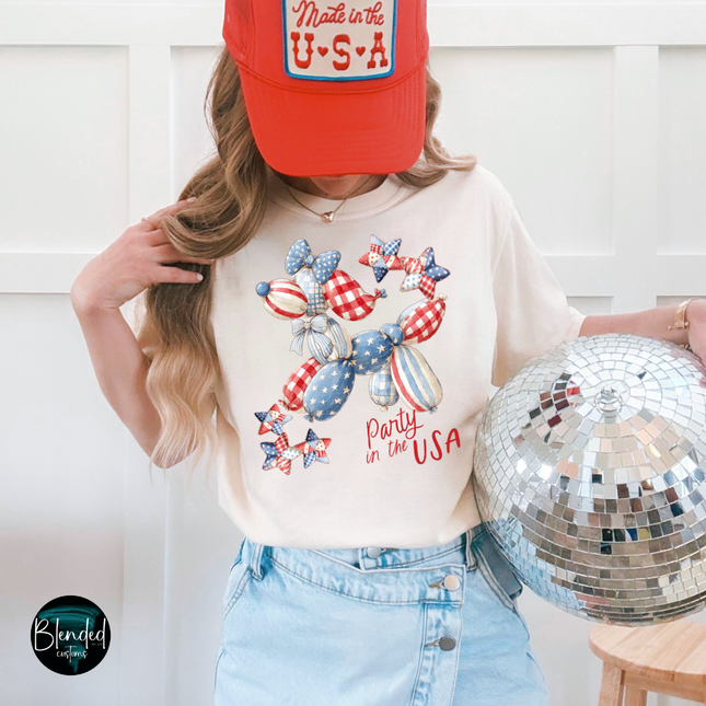 Party In The USA DTF Transfer
