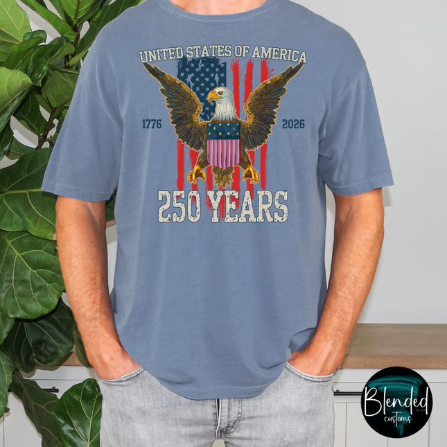 250th America DTF Transfer